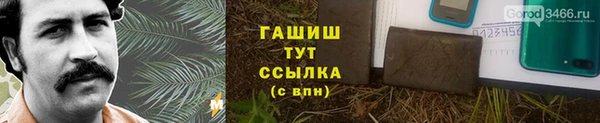 гидра Медвежьегорск