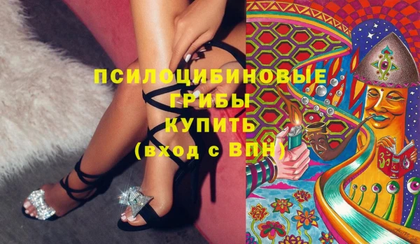 гидра Медвежьегорск