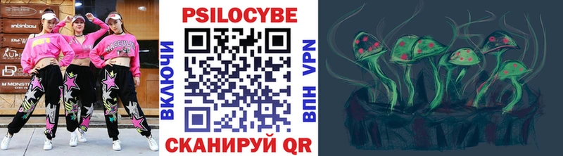 Галлюциногенные грибы Psilocybe  купить наркотики цена  Находка 
