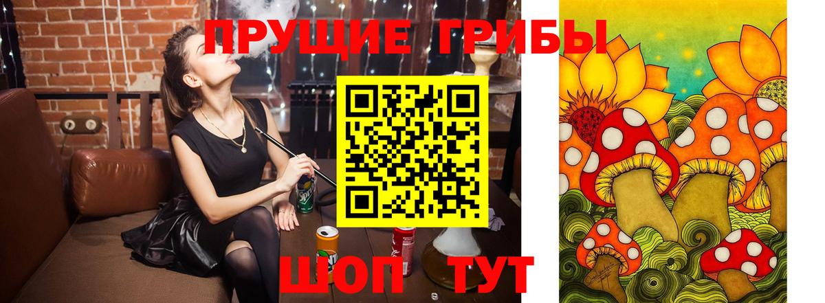 Галлюциногенные грибы Cubensis Находка