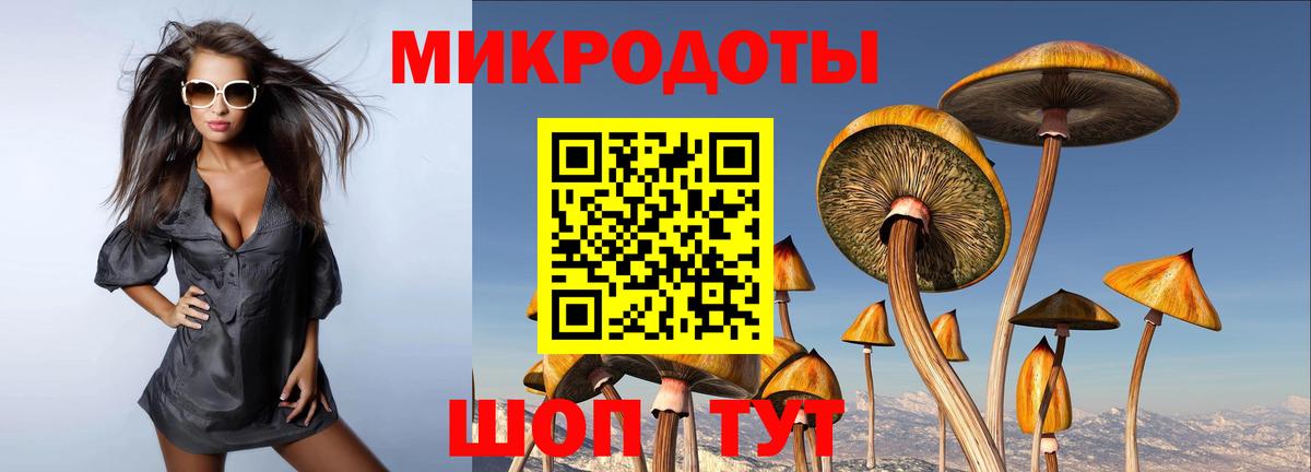 купить наркотики сайты  Галлюциногенные грибы MAGIC MUSHROOMS  Вход с VPN  Находка  Псилоцибиновые грибы Psilocybine cubensis 